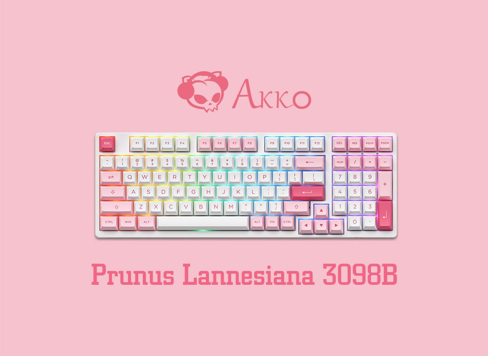 Akko 3098B Prunus Lannesiana RGB Hot-Swap Wireless Mechanical Gaming Keyboard 98-key Multi-Modes BT 5.0/2.4GHz/USB-C Double Shot