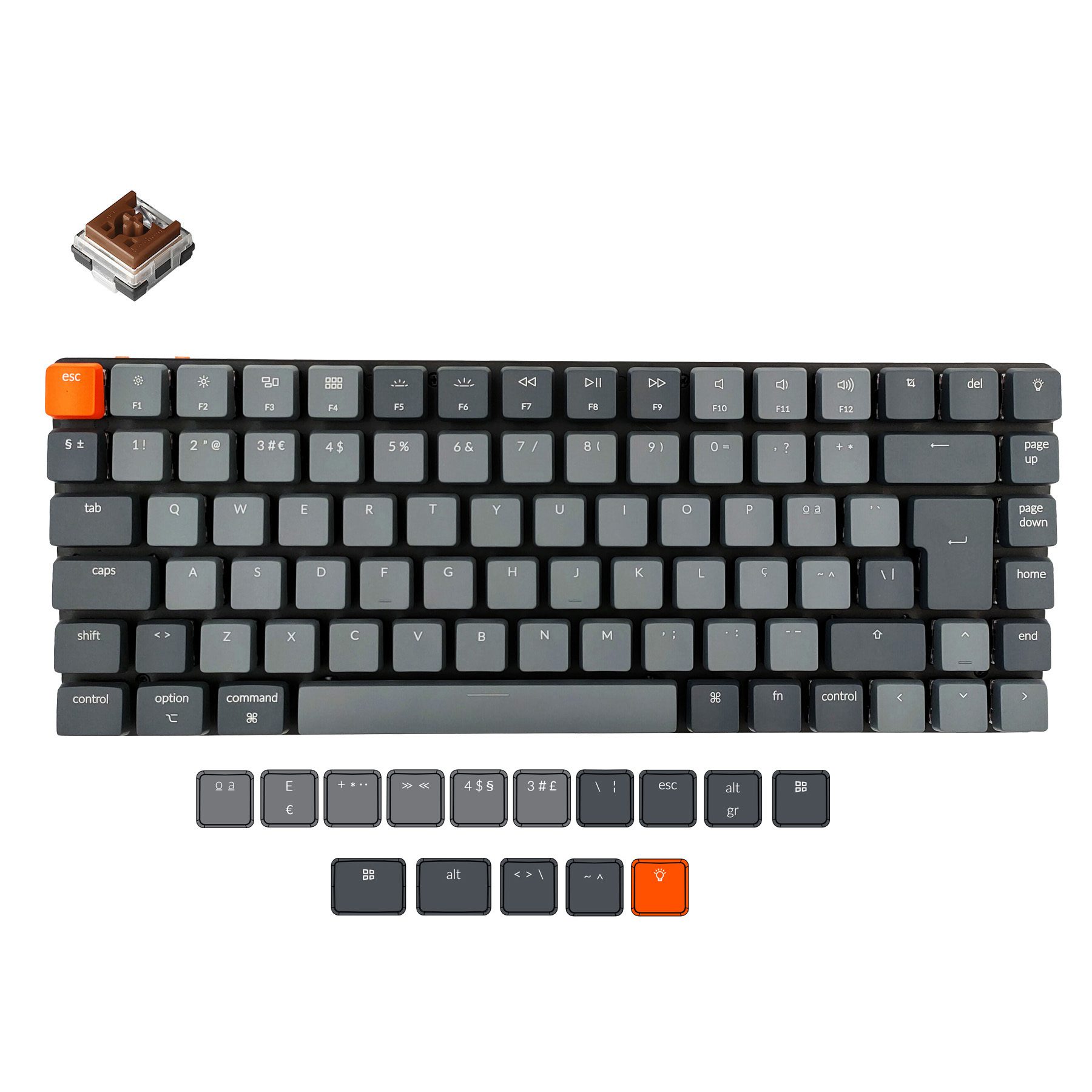 Brown Switches